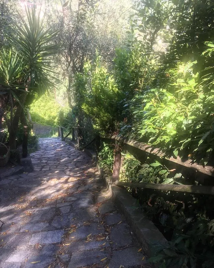 Appartamento Azalea Montale  Villa Montale (Liguria)